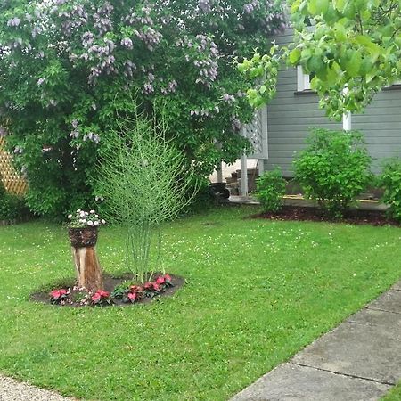 Haavalehe Summer House 합살루 외부 사진